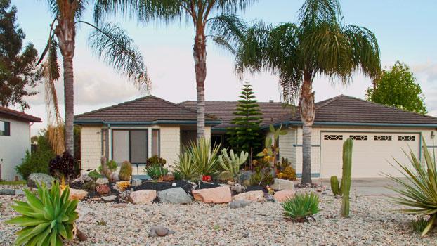 Xeriscape garden landscape fabric